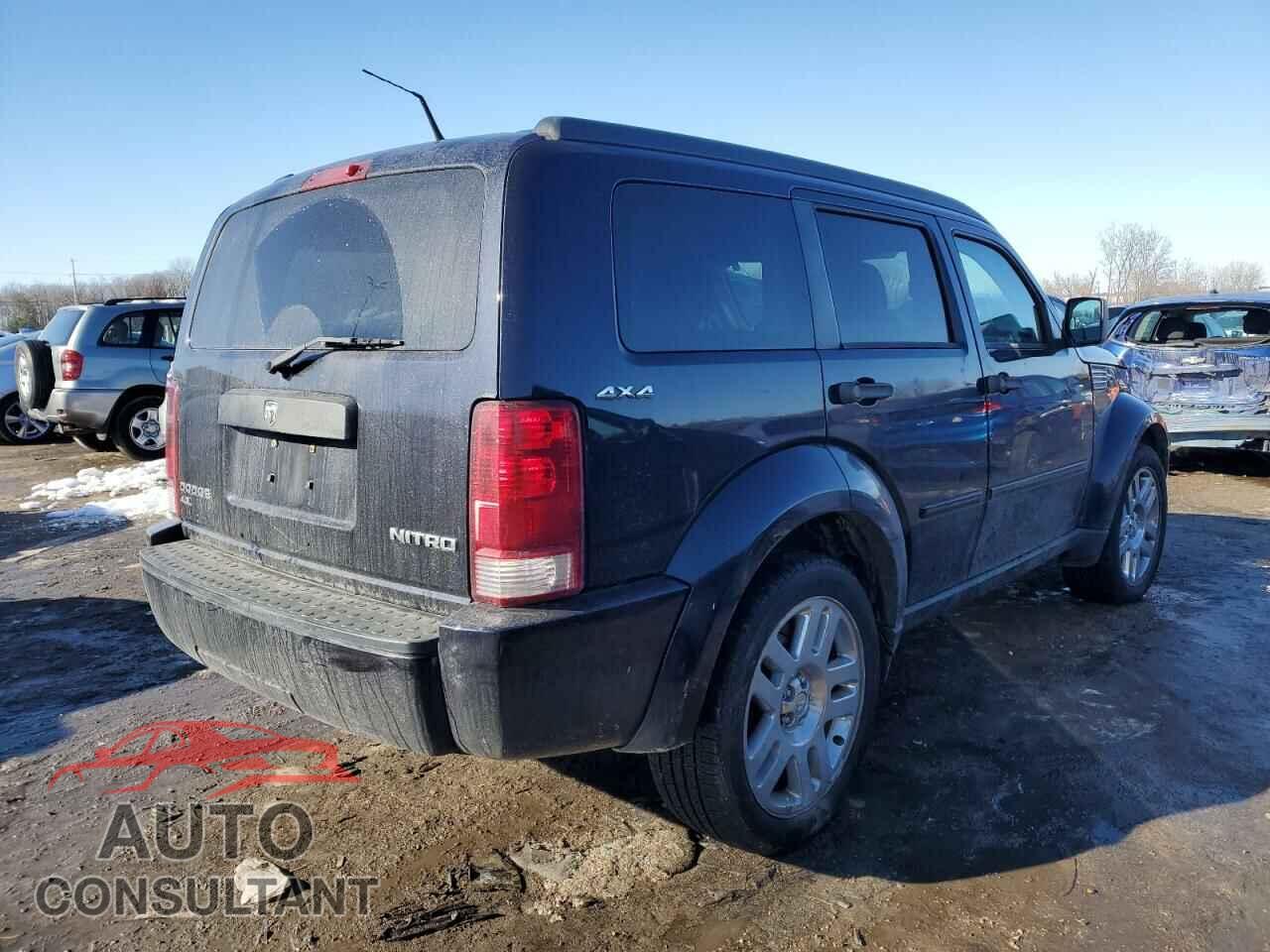 DODGE NITRO 2011 - 1D4PU4GX7BW539828