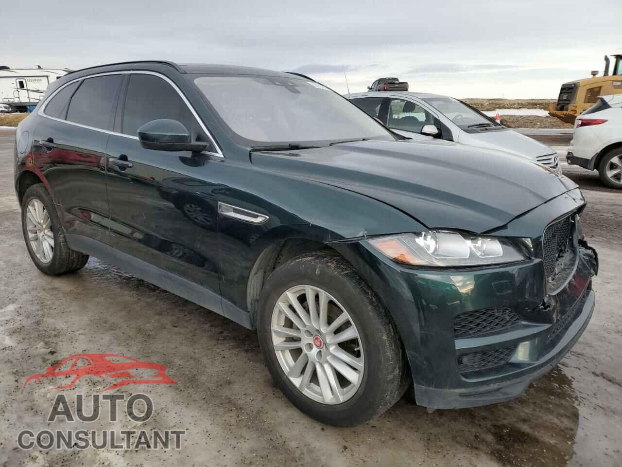 JAGUAR F-PACE 2017 - SADCK2BNXHA488198