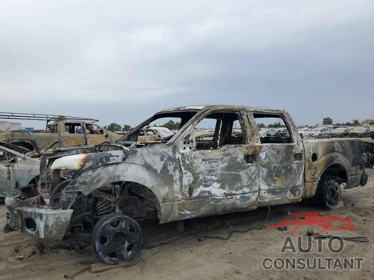 FORD F-150 2010 - 1FTEW1C86AFA85758