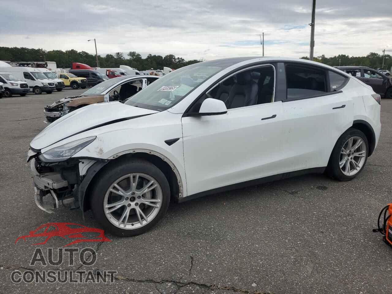 TESLA MODEL Y 2022 - 7SAYGDEE3NF390534