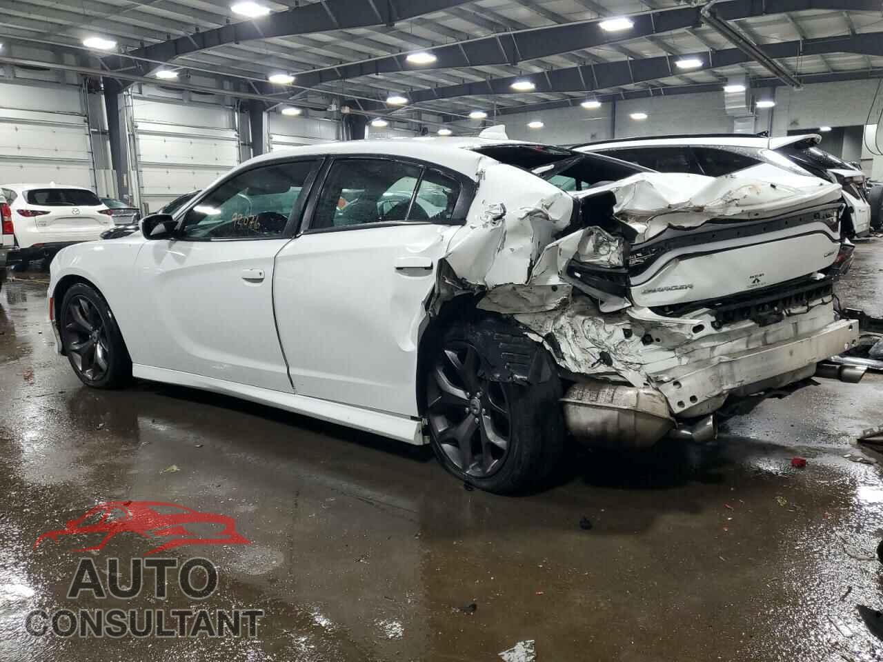 DODGE CHARGER 2019 - 2C3CDXHG2KH691854