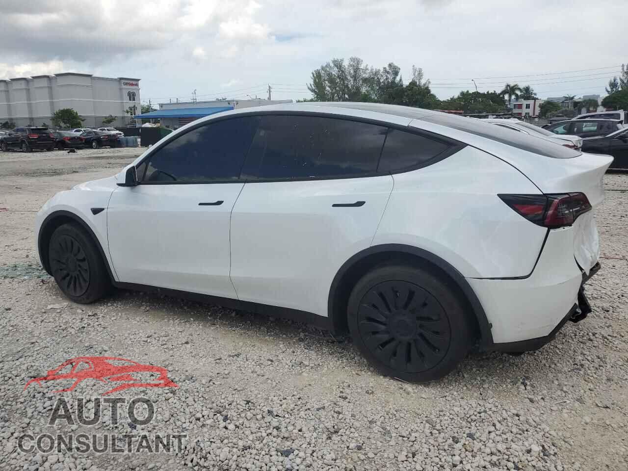 TESLA MODEL Y 2024 - 7SAYGAEE8RF102690