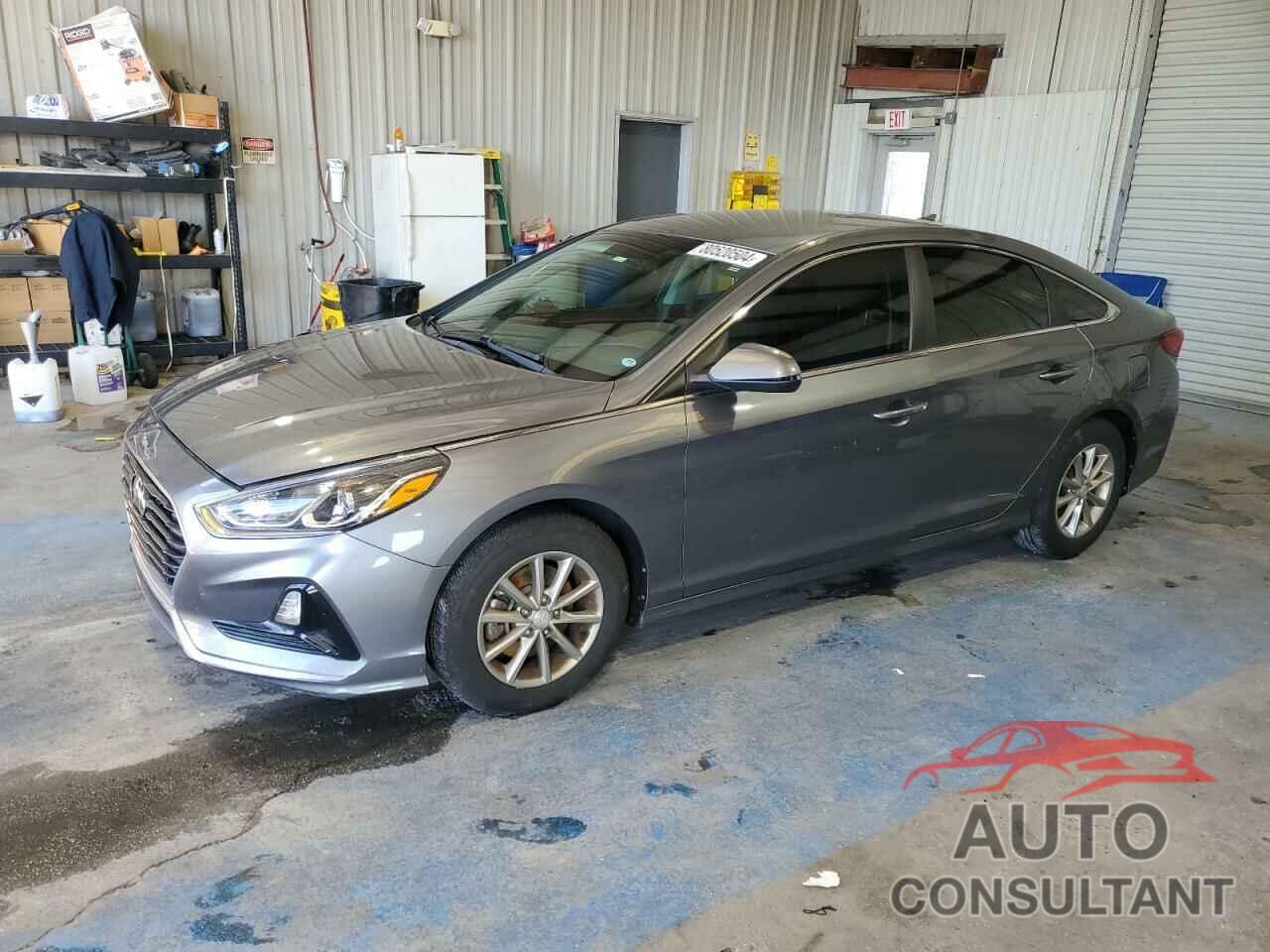 HYUNDAI SONATA 2019 - 5NPE24AF2KH746353