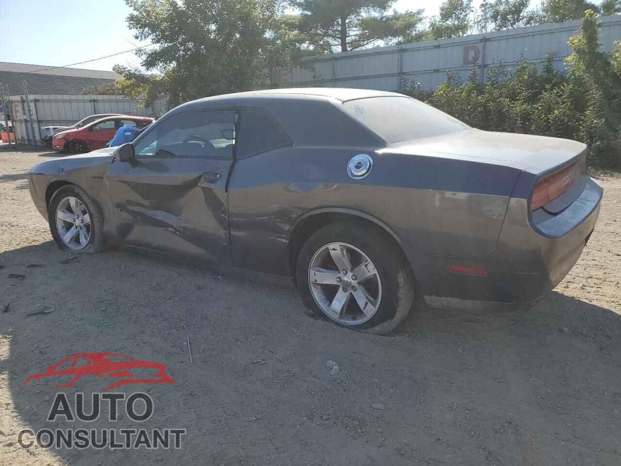 DODGE CHALLENGER 2013 - 2C3CDYAG2DH662938