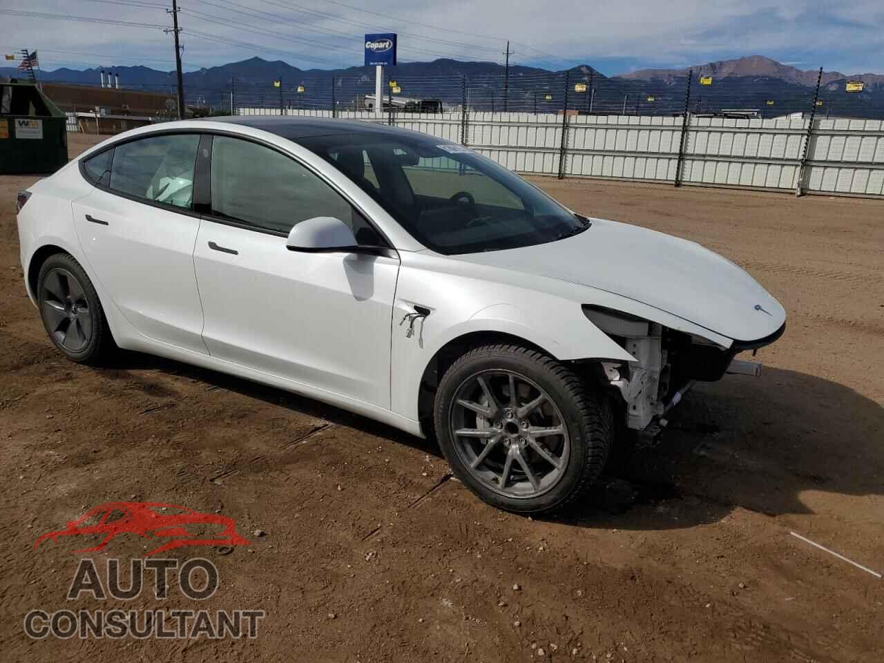 TESLA MODEL 3 2021 - 5YJ3E1EA6MF058790