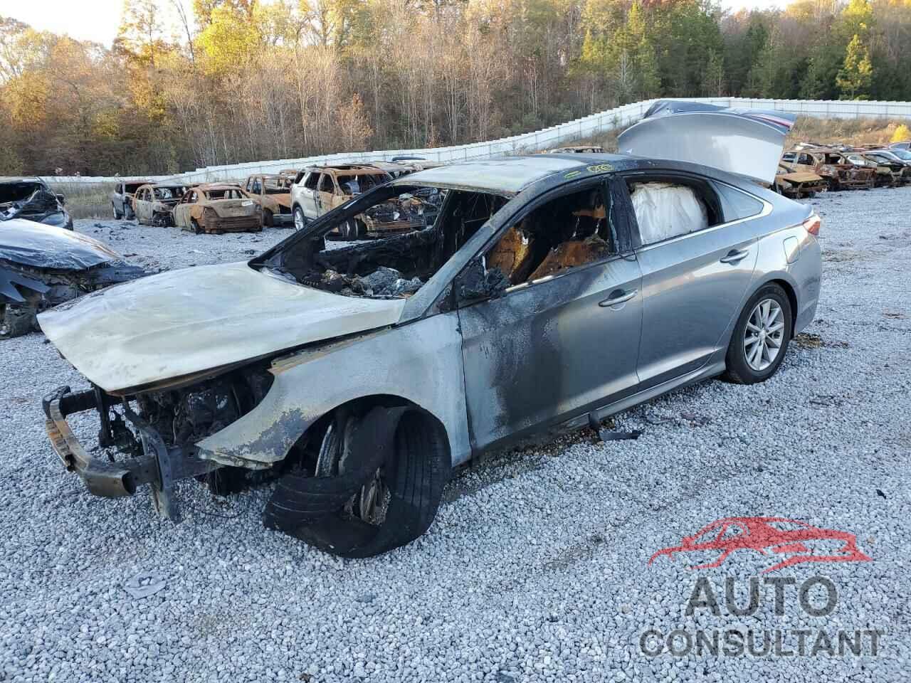 HYUNDAI SONATA 2019 - 5NPE24AF2KH771401