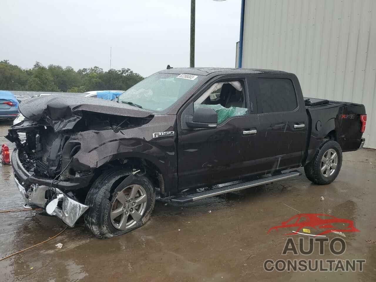 FORD F-150 2019 - 1FTEW1EP9KFC99536