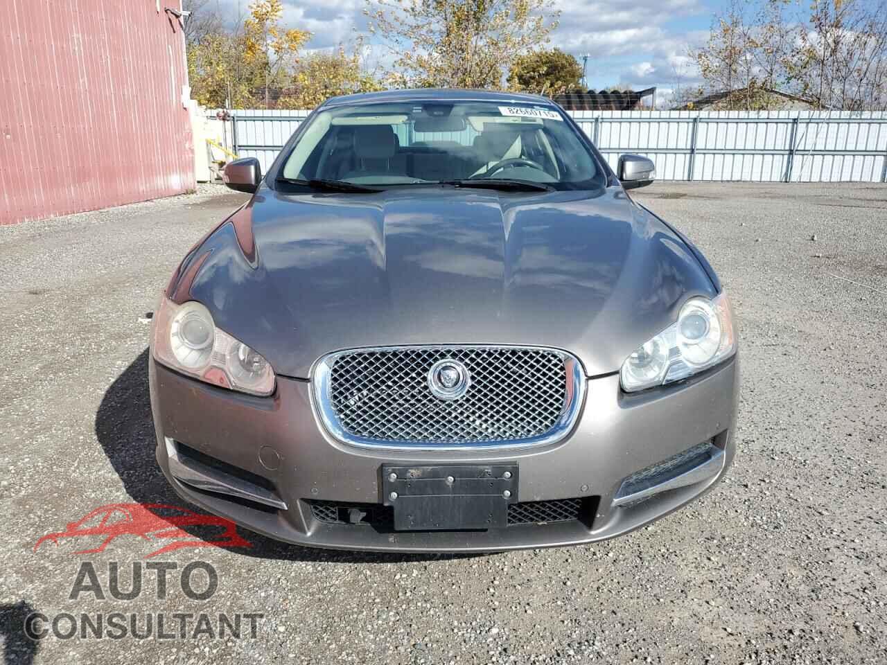 JAGUAR XF 2009 - SAJXA06B09HR27648