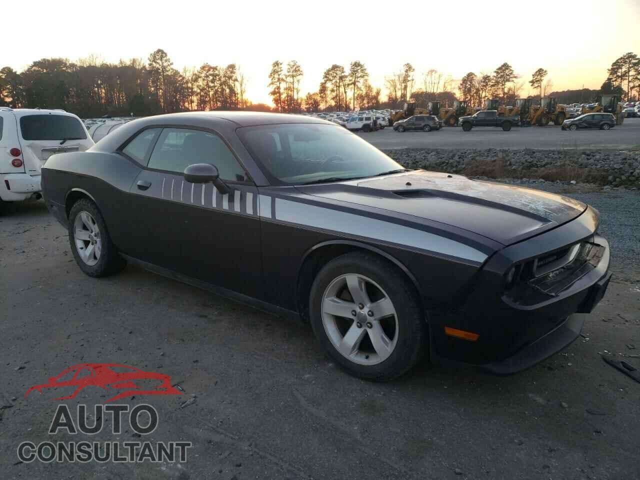DODGE CHALLENGER 2013 - 2C3CDYAG7DH607756