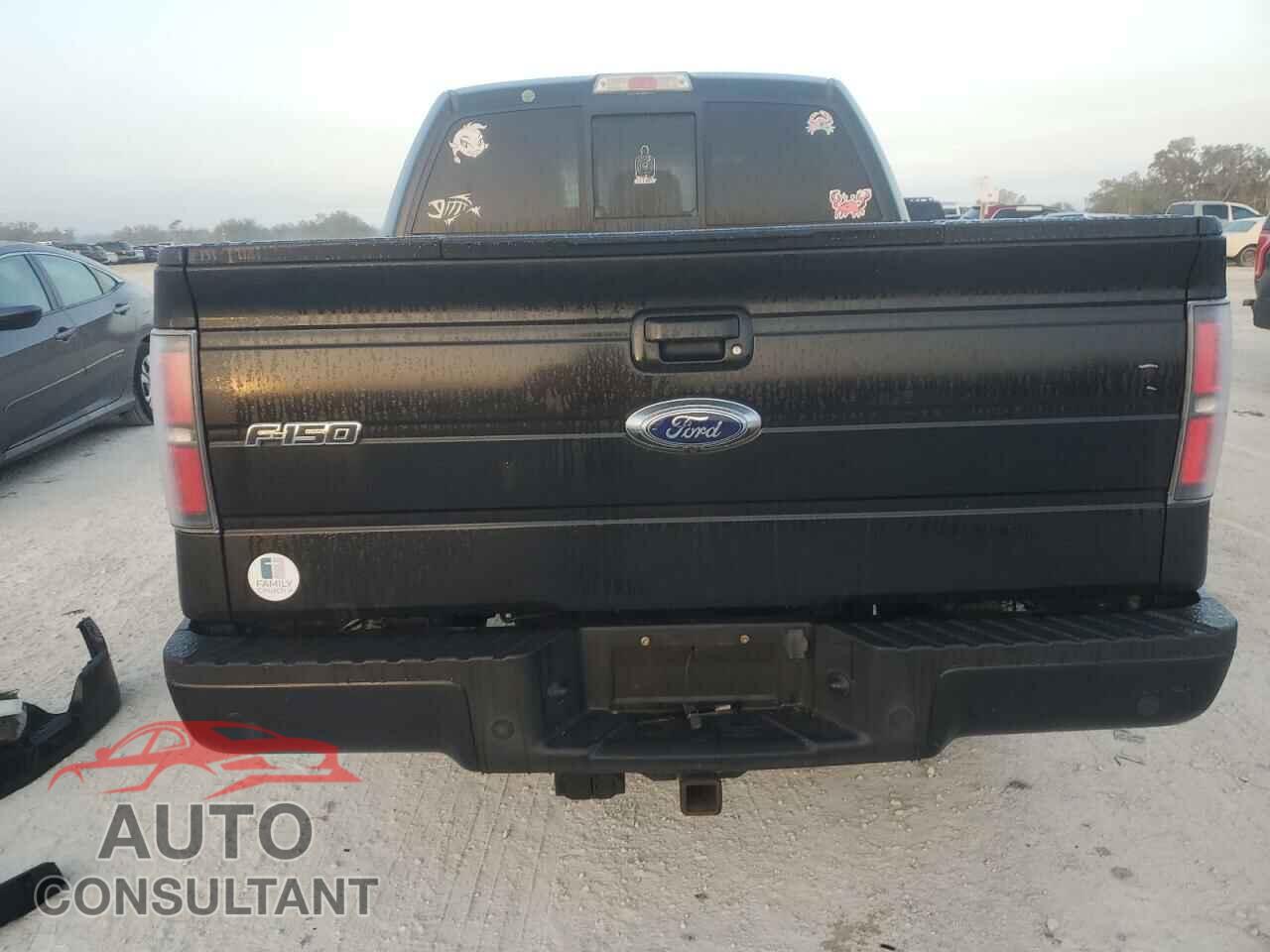 FORD F-150 2012 - 1FTFW1CF4CFA36242