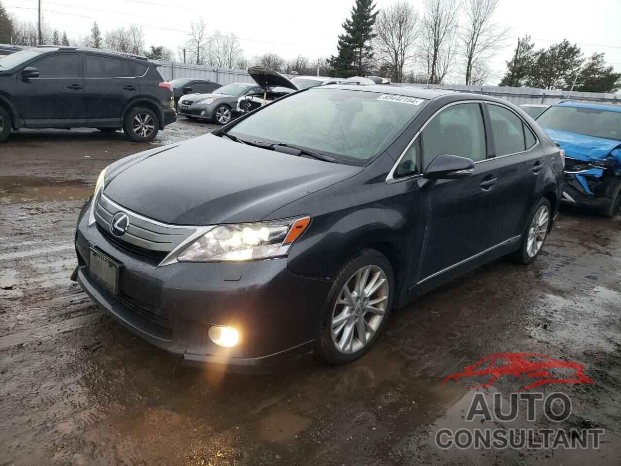 LEXUS HS 2010 - JTHBB1BA8A2025604