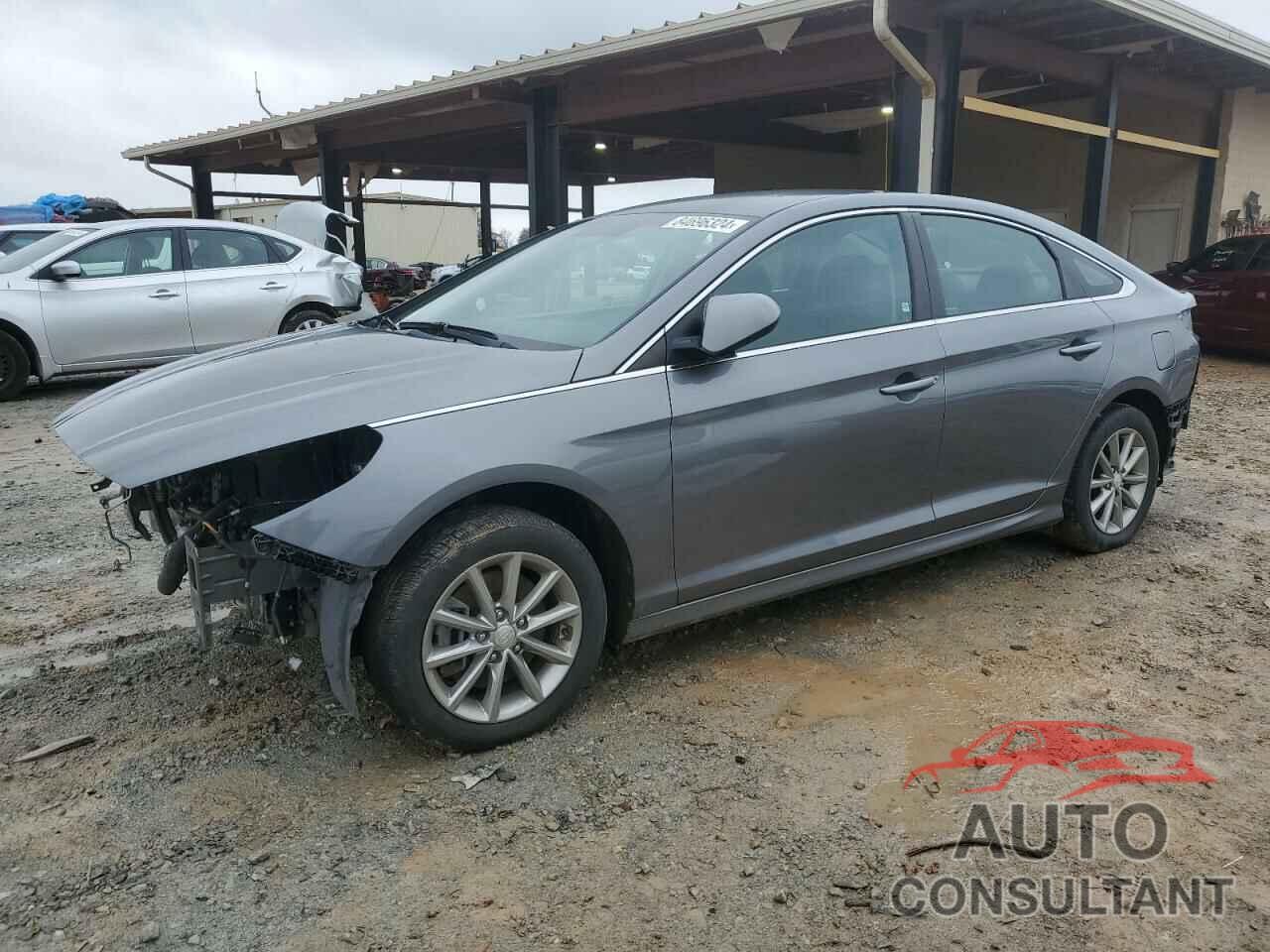 HYUNDAI SONATA 2019 - 5NPE24AF4KH737217