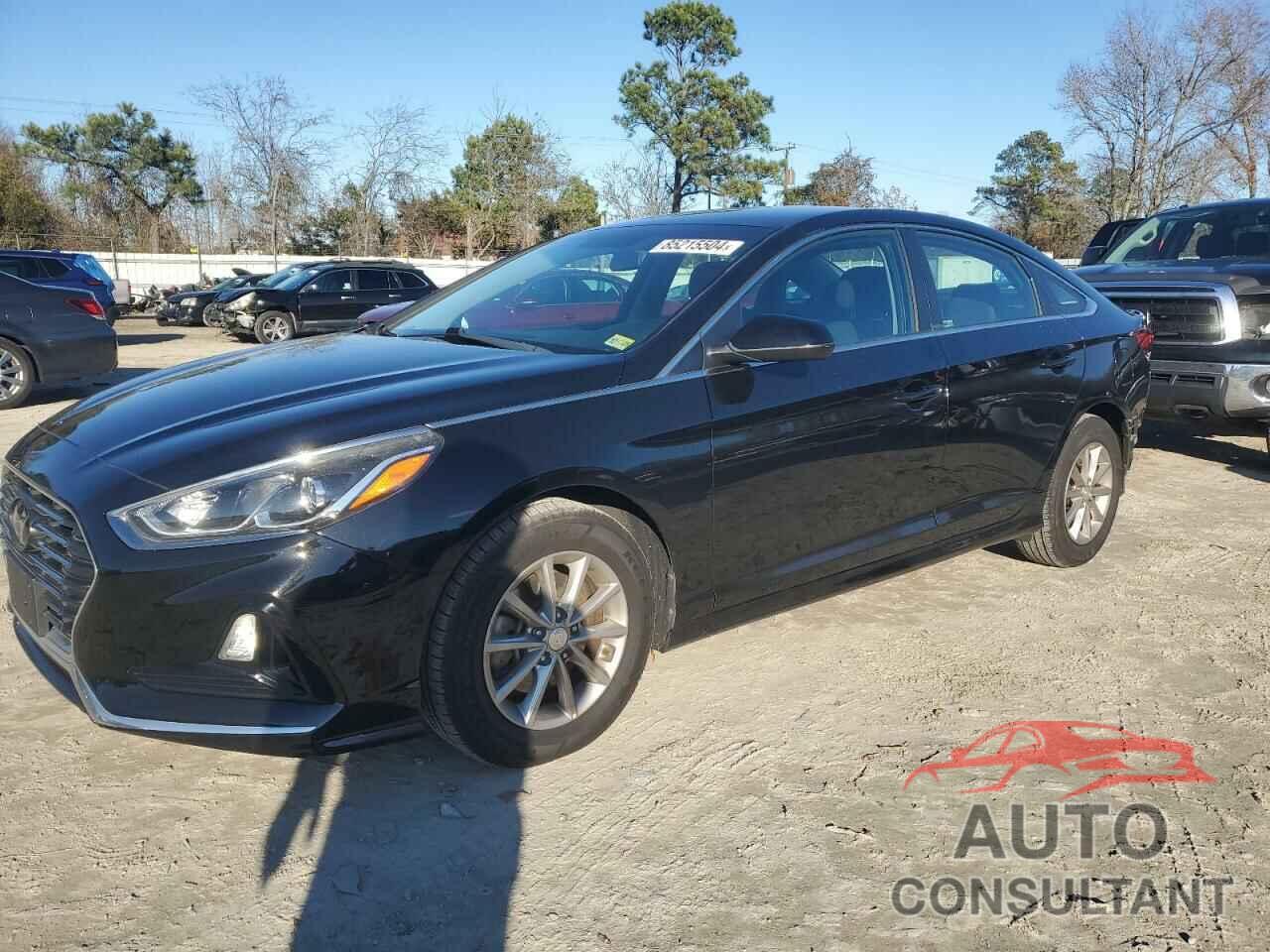 HYUNDAI SONATA 2019 - 5NPE24AF7KH741519