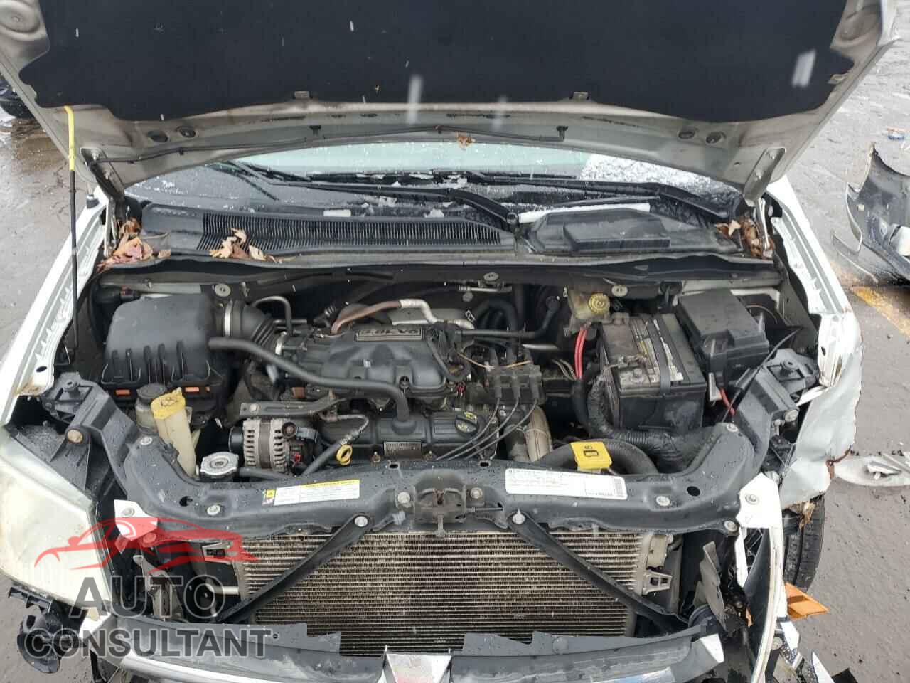 DODGE CARAVAN 2009 - 2D8HN54199R569566