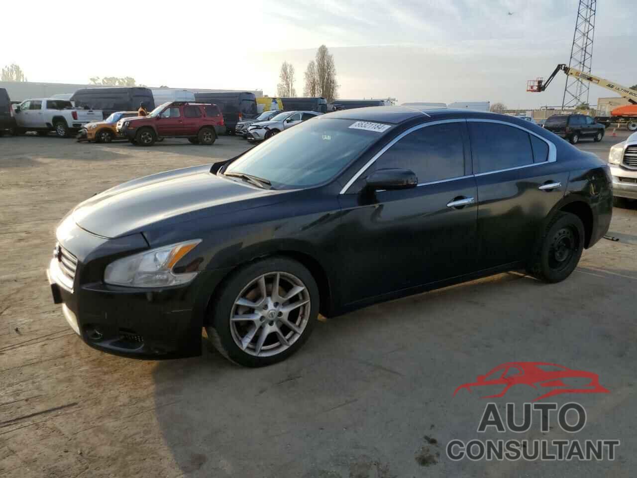NISSAN MAXIMA 2013 - 1N4AA5AP2DC837742