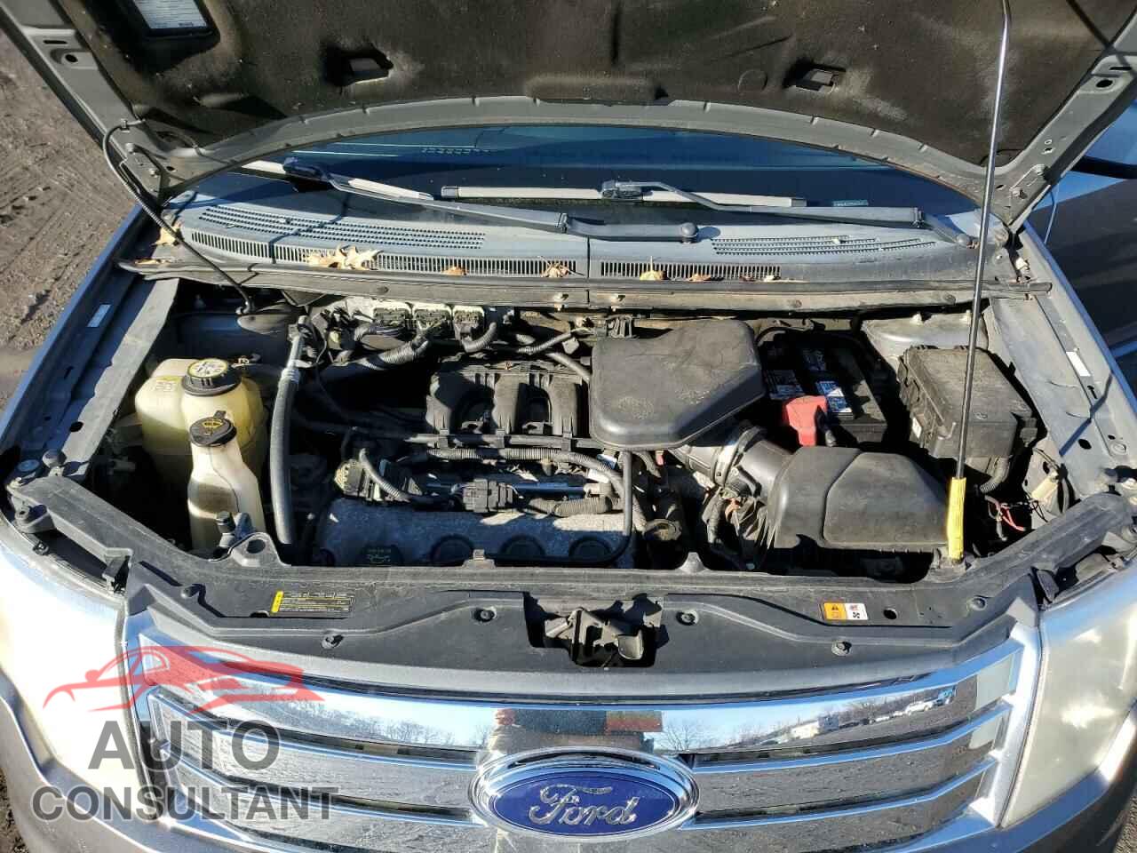 FORD EDGE 2009 - 2FMDK49C19BA56732