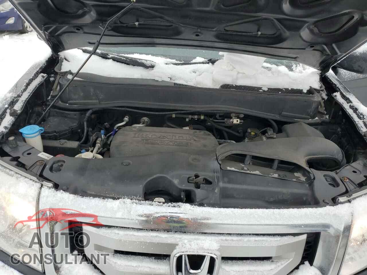 HONDA PILOT 2011 - 5FNYF3H22BB501100