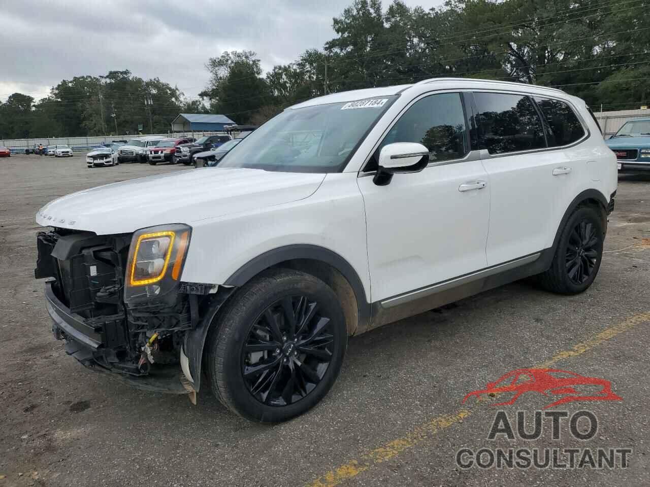 KIA TELLURIDE 2022 - 5XYP54HC0NG283233