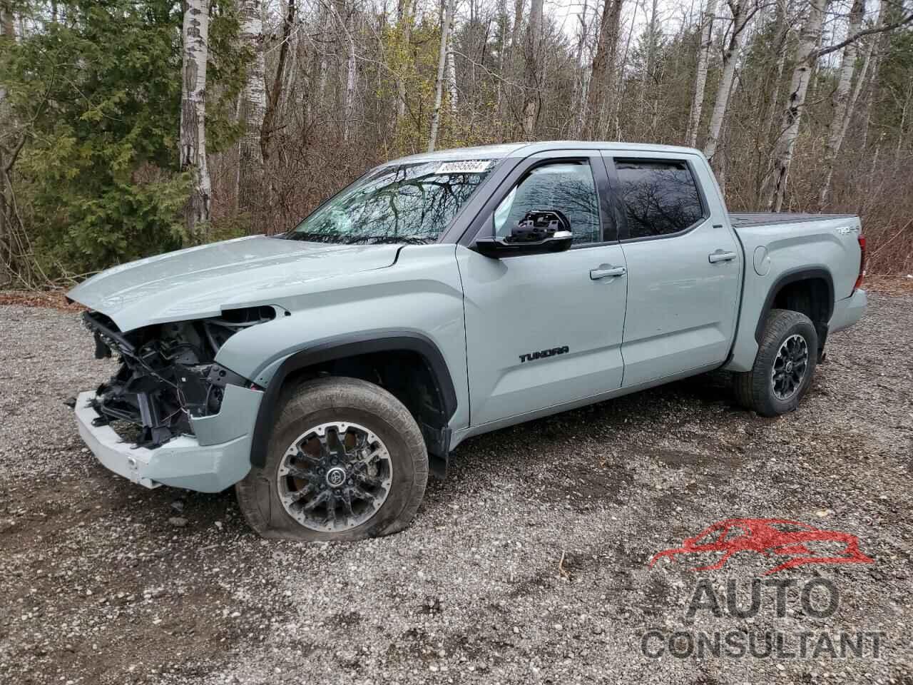 TOYOTA TUNDRA 2022 - 5TFLA5DBXNX010794
