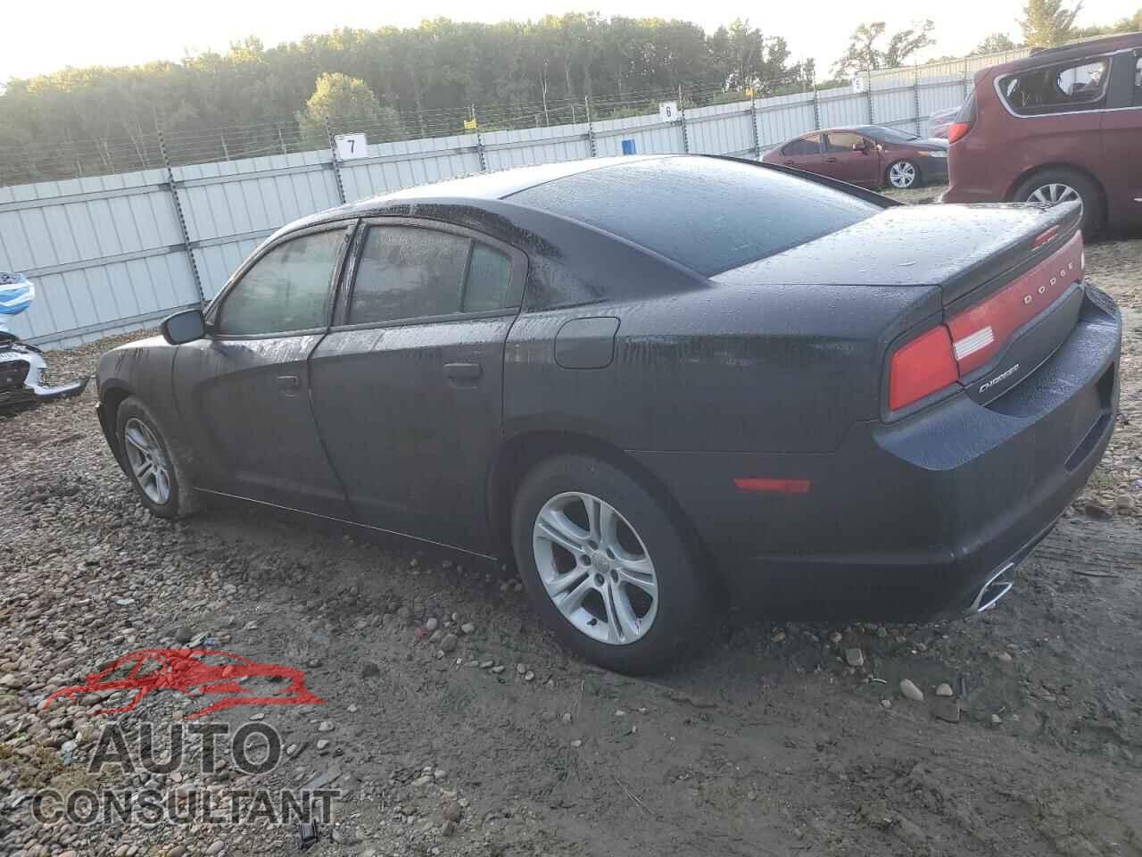 DODGE CHARGER 2011 - 2B3CL3CG5BH507328