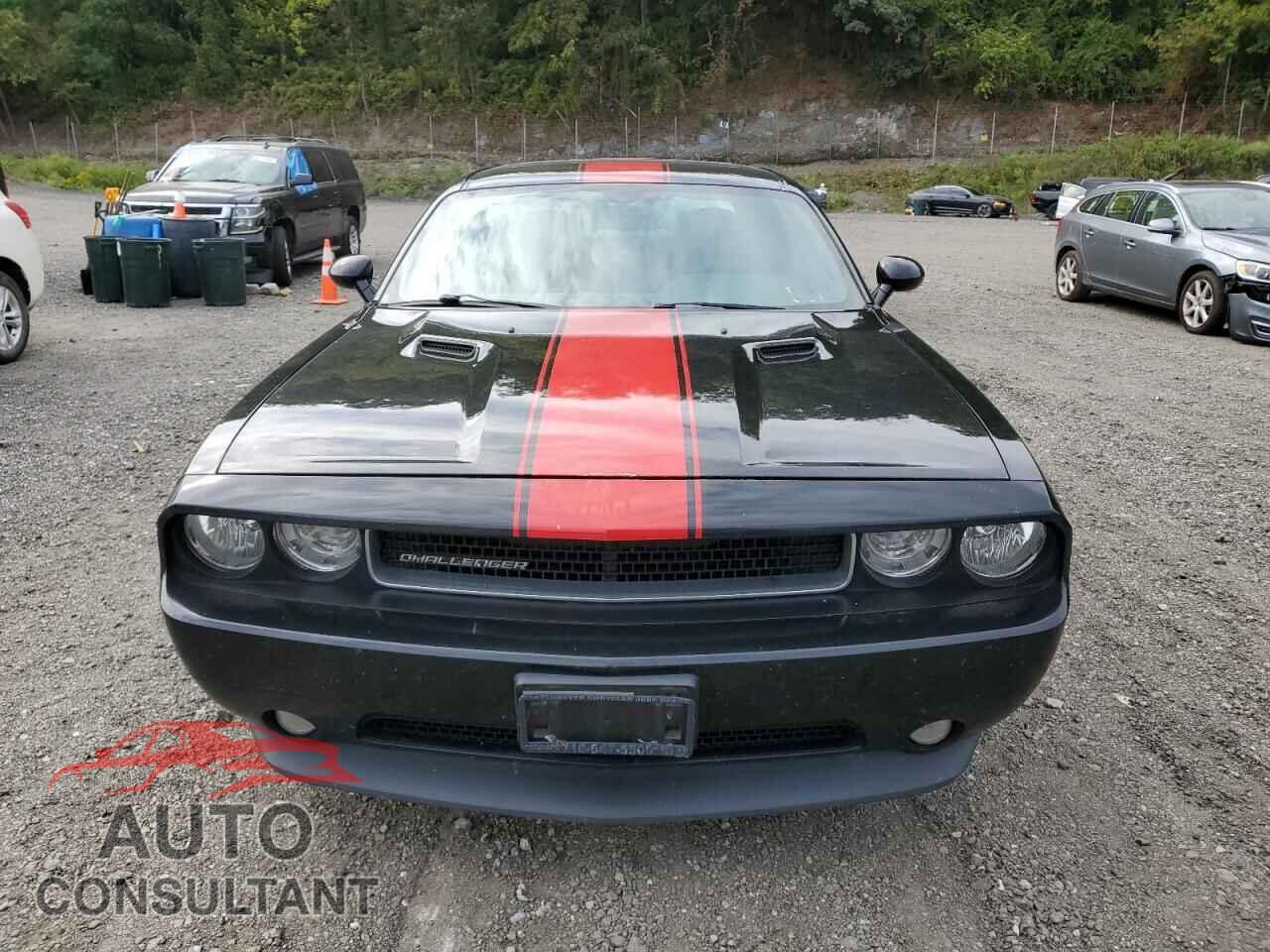 DODGE CHALLENGER 2013 - 2C3CDYAG8DH737349