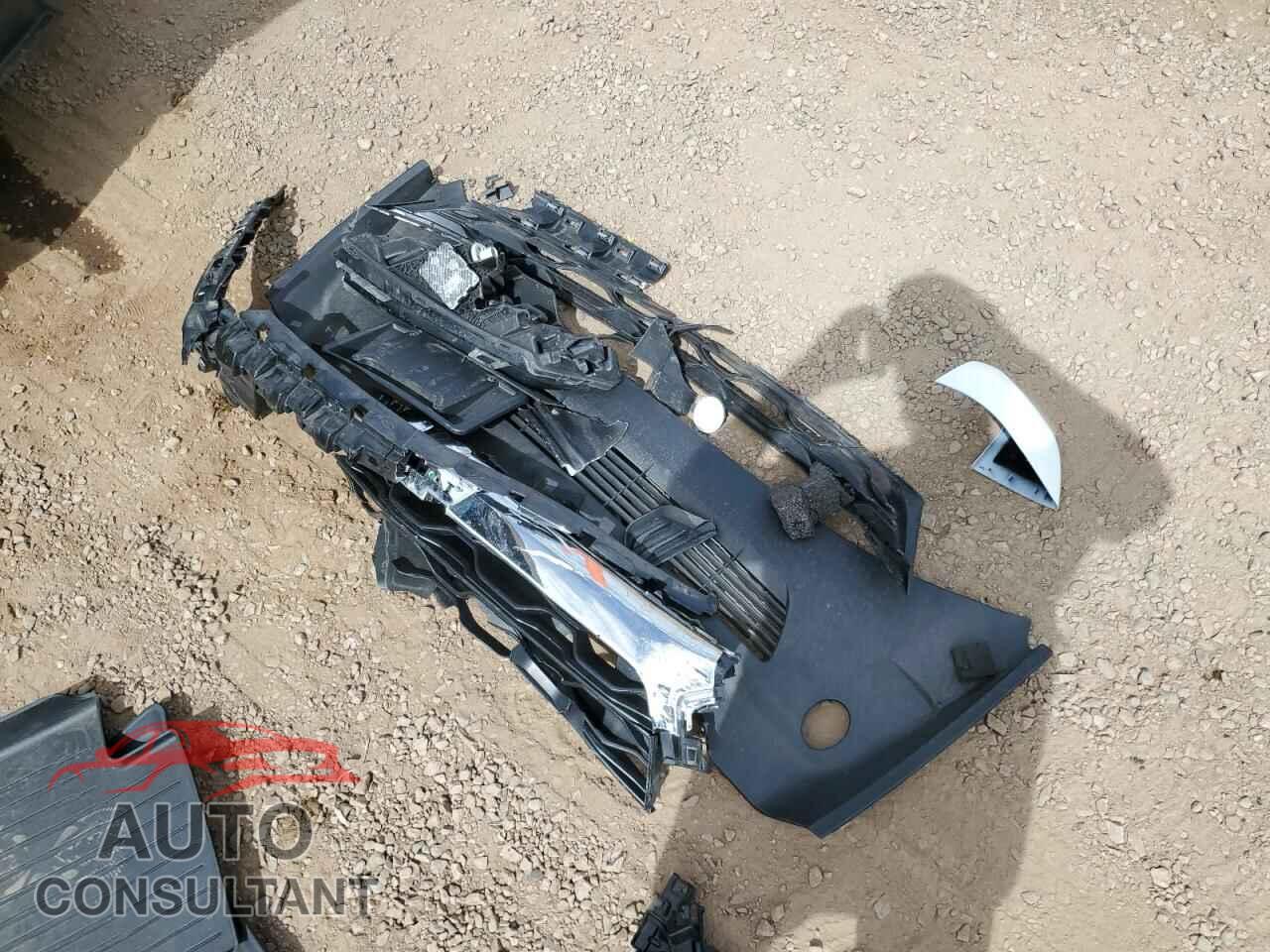 TESLA MODEL Y 2024 - 7SAYGDEE8RF205643