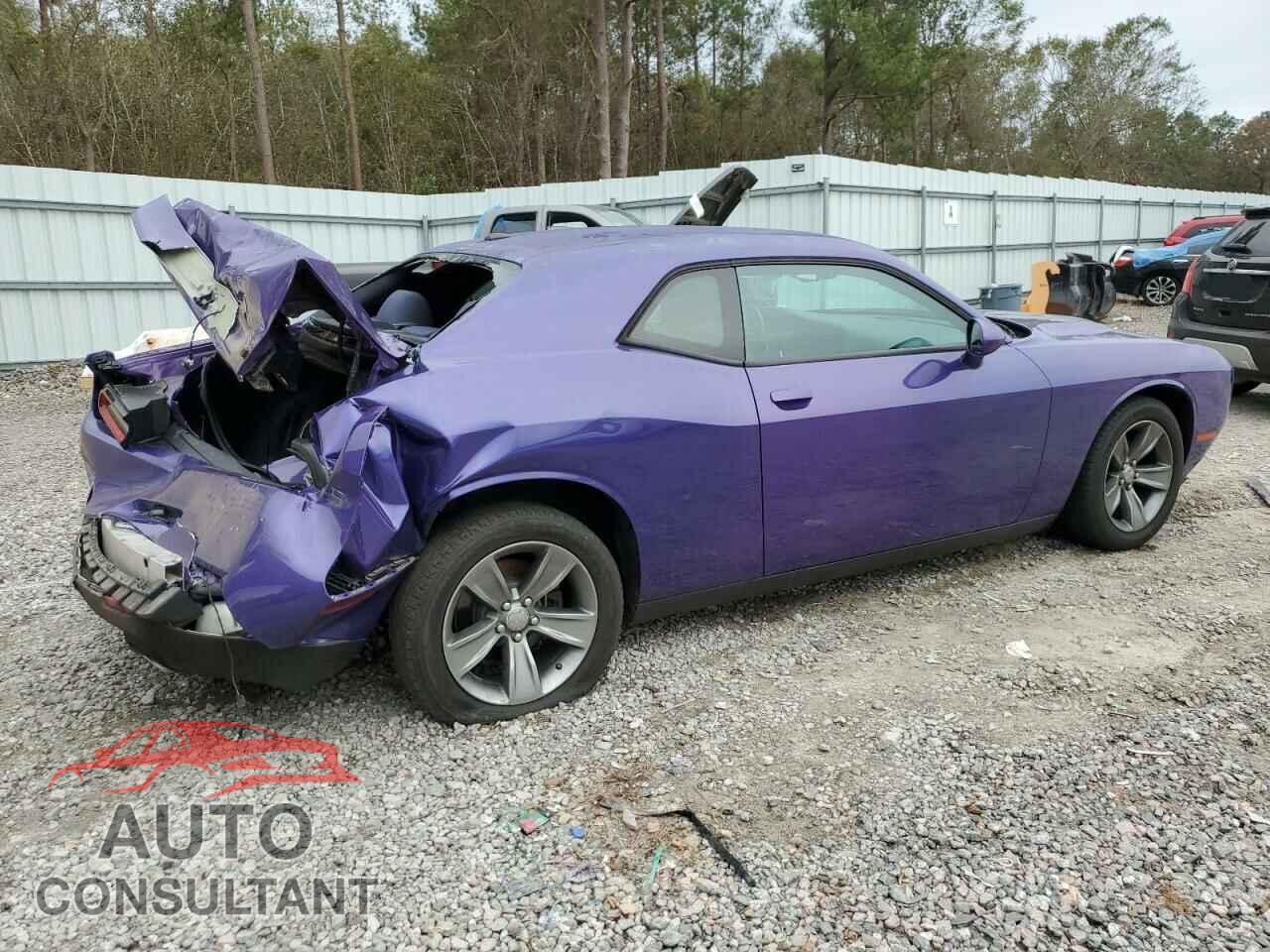 DODGE CHALLENGER 2019 - 2C3CDZAG5KH586991