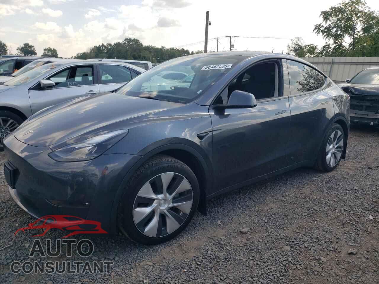 TESLA MODEL Y 2023 - 7SAYGDEE8PF880700