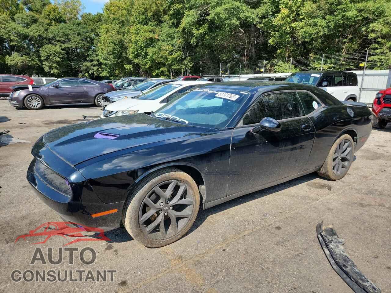 DODGE CHALLENGER 2019 - 2C3CDZAG8KH739508