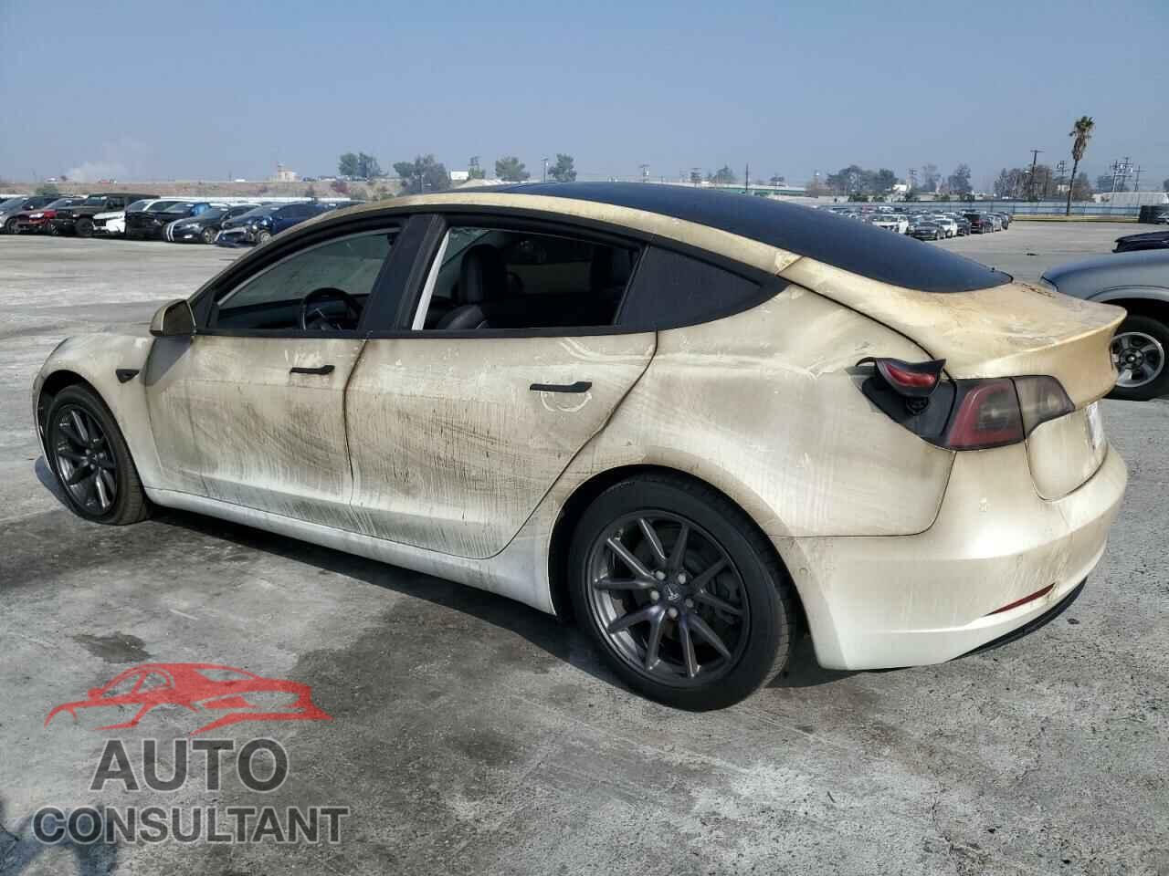 TESLA MODEL 3 2018 - 5YJ3E1EA2JF043876