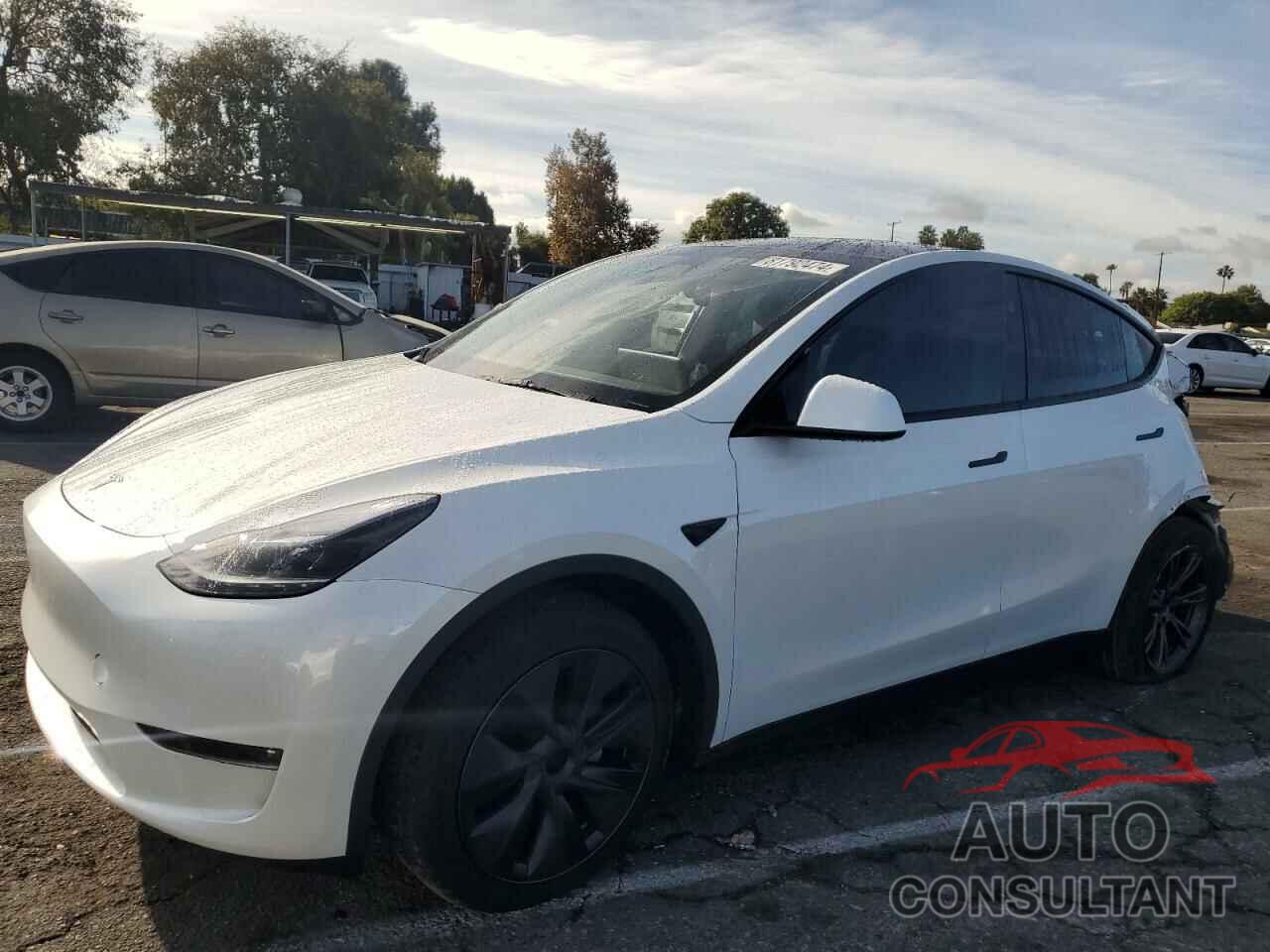 TESLA MODEL Y 2024 - 7SAYGDEE6RF177714