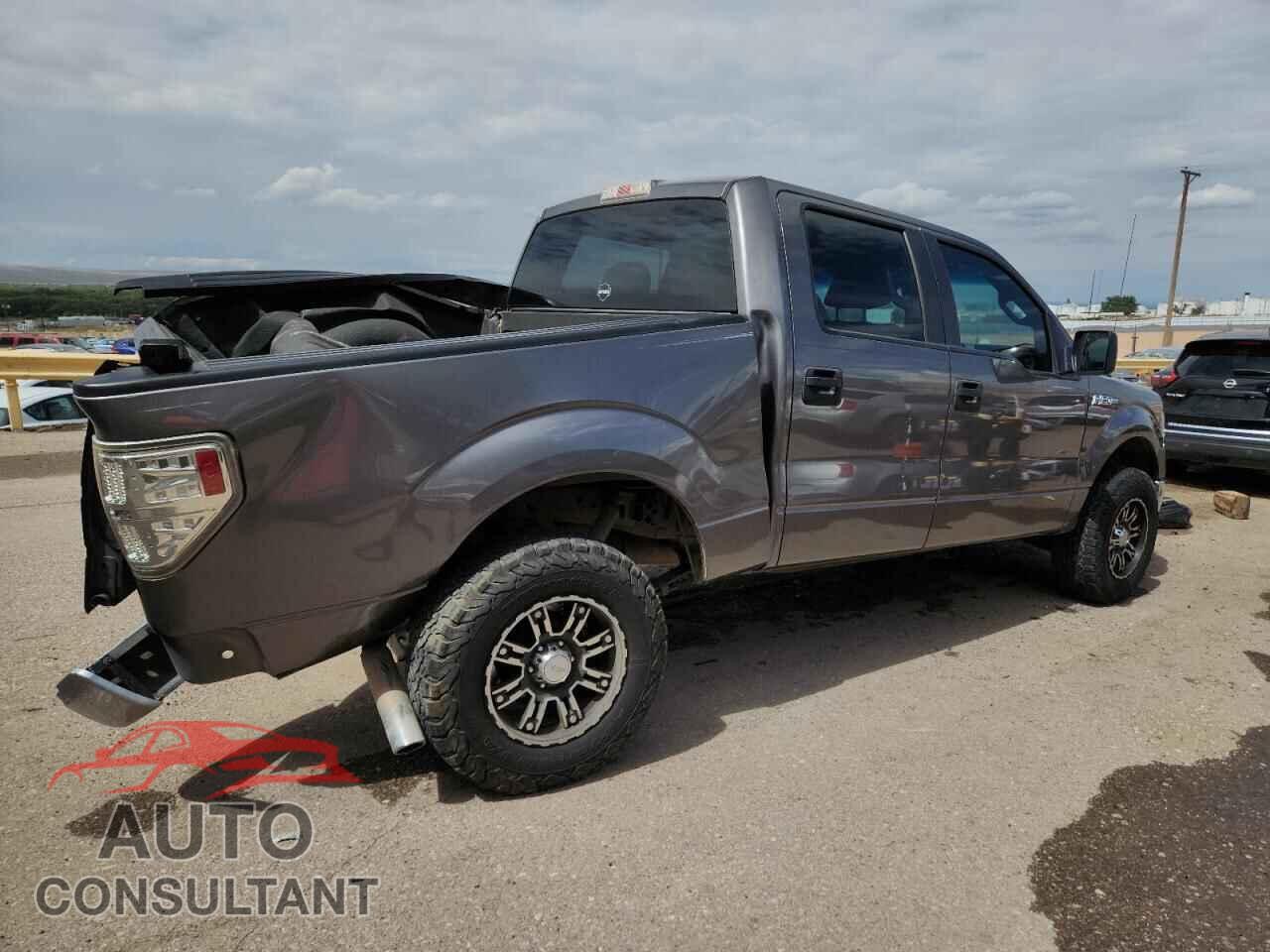 FORD F-150 2011 - 1FTEW1CM7BFB84202