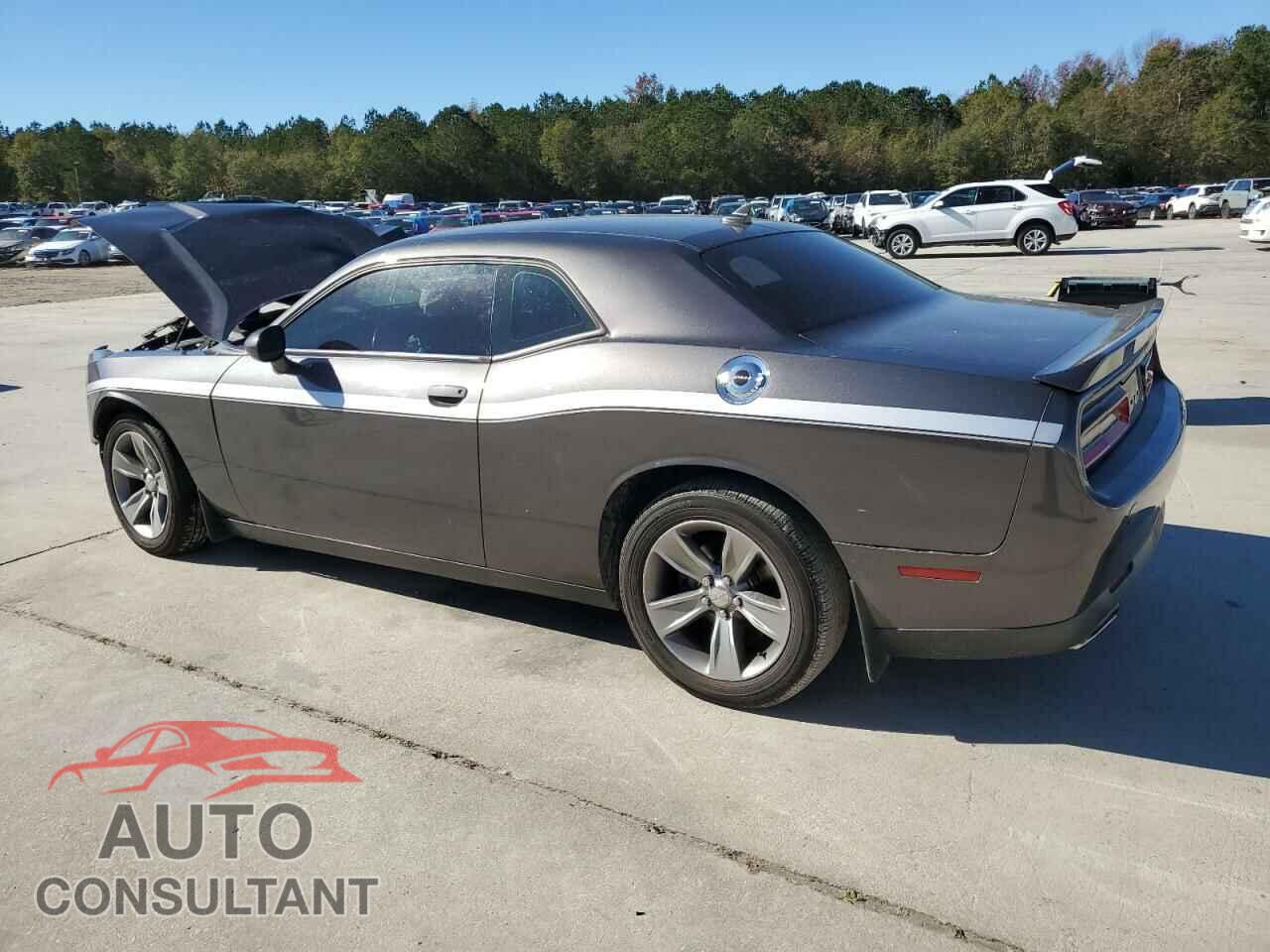 DODGE CHALLENGER 2019 - 2C3CDZAG4KH677797