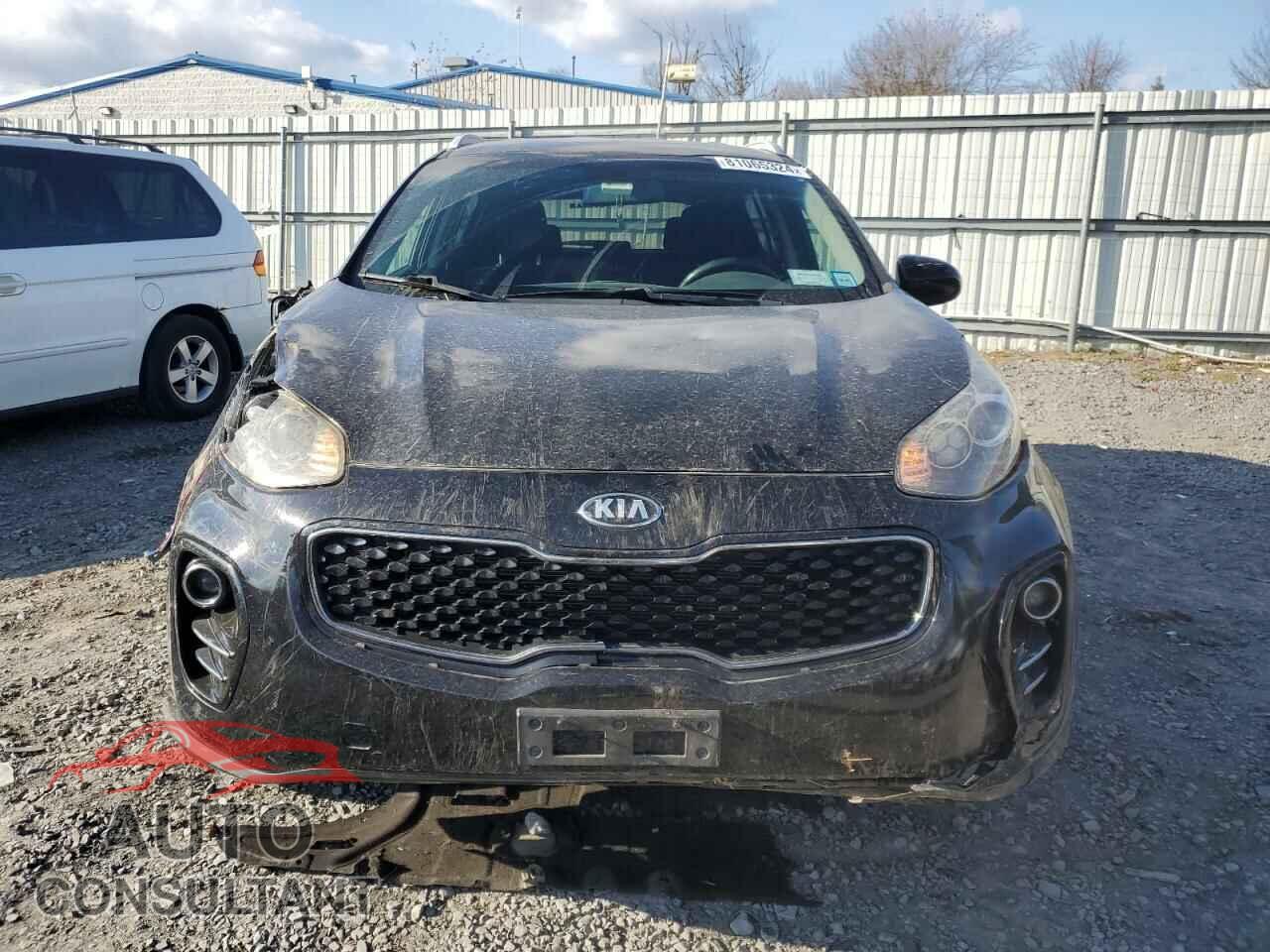 KIA SPORTAGE 2017 - KNDPMCAC4H7102711