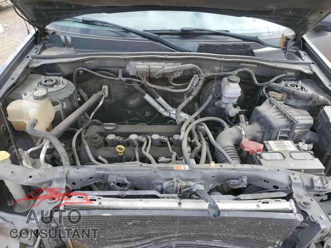 FORD ESCAPE 2010 - 1FMCU0D76AKB28706