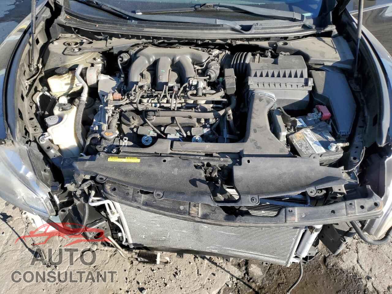 NISSAN MAXIMA 2011 - 1N4AA5AP7BC820545