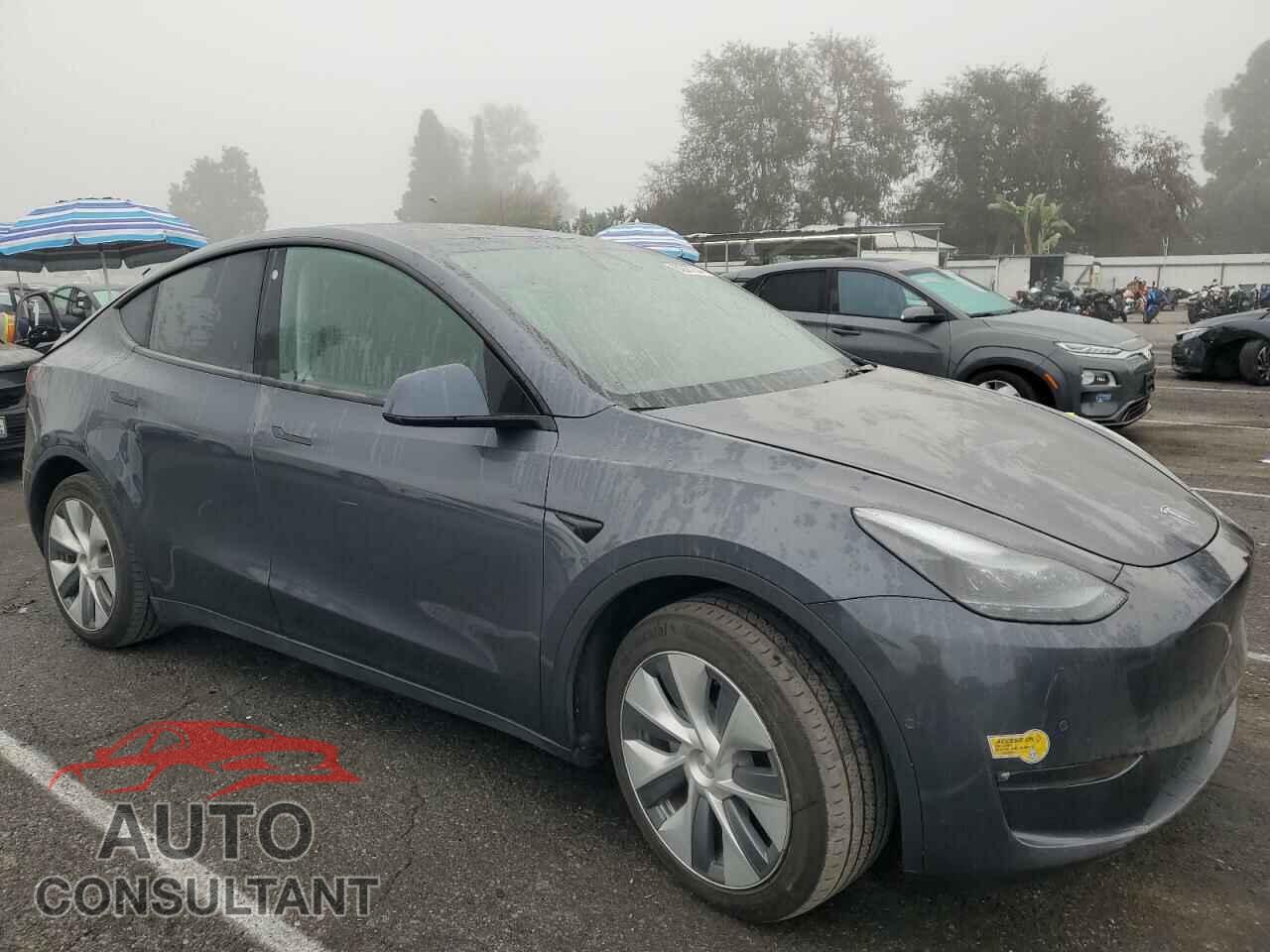 TESLA MODEL Y 2022 - 7SAYGAEE4NF560768