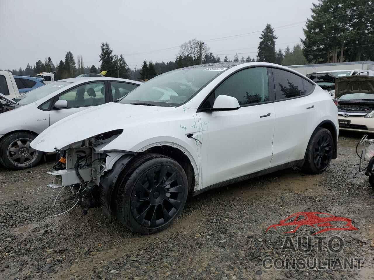 TESLA MODEL Y 2023 - 7SAYGDEEXPA117302
