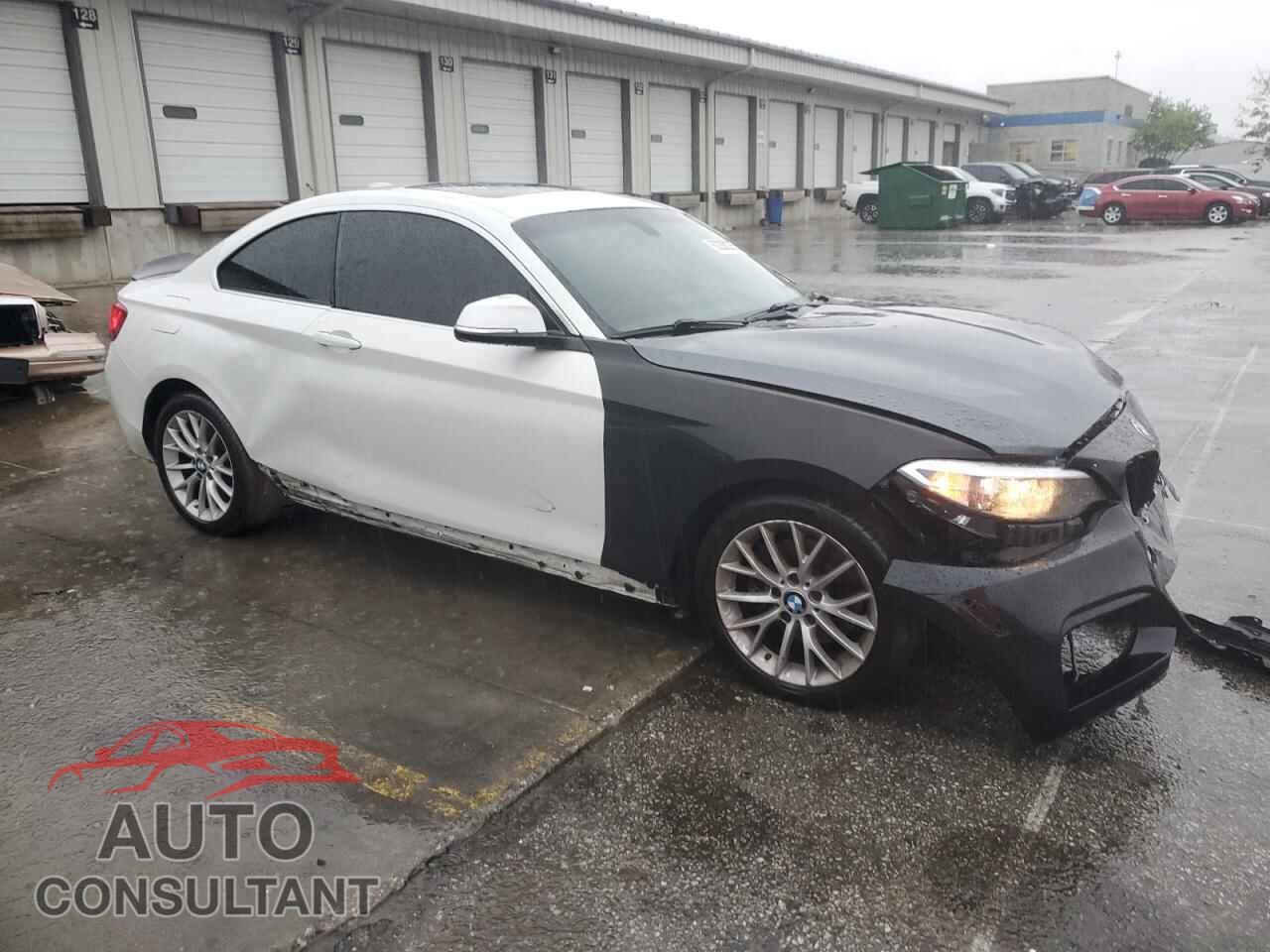 BMW 2 SERIES 2014 - WBA1F5C55EV255855