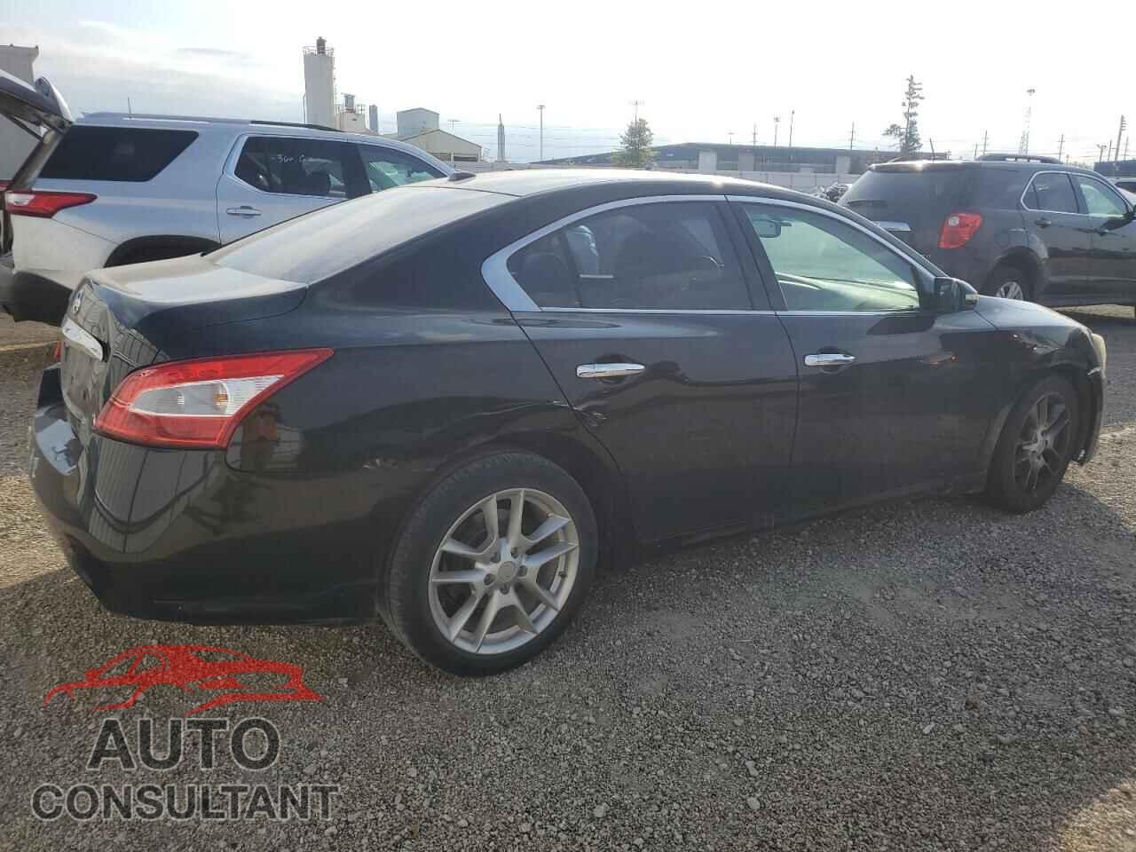NISSAN MAXIMA 2011 - 1N4AA5AP7BC844862