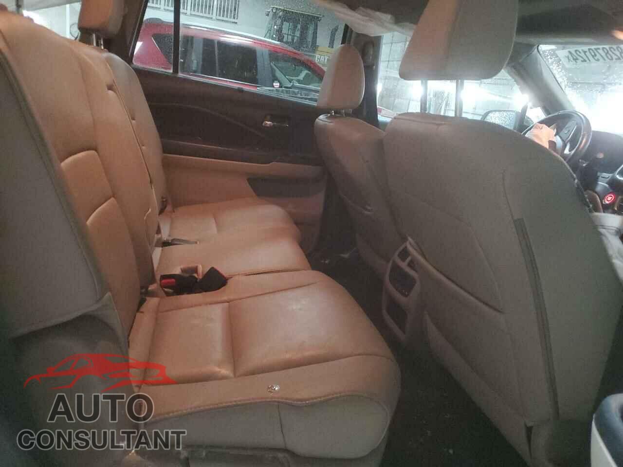HONDA PILOT 2019 - 5FNYF6H58KB071875