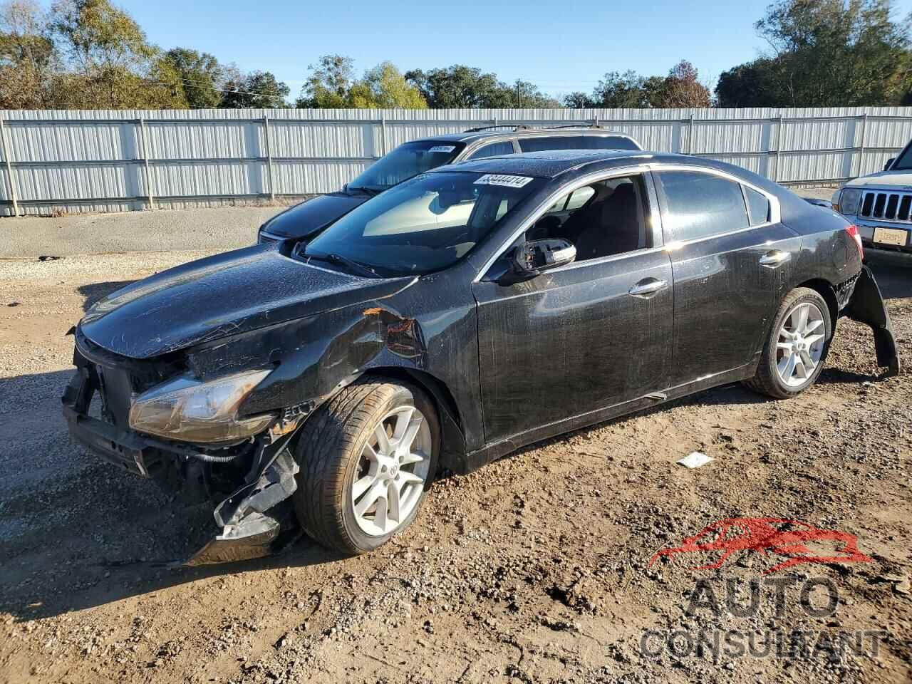 NISSAN MAXIMA 2011 - 1N4AA5AP5BC833858