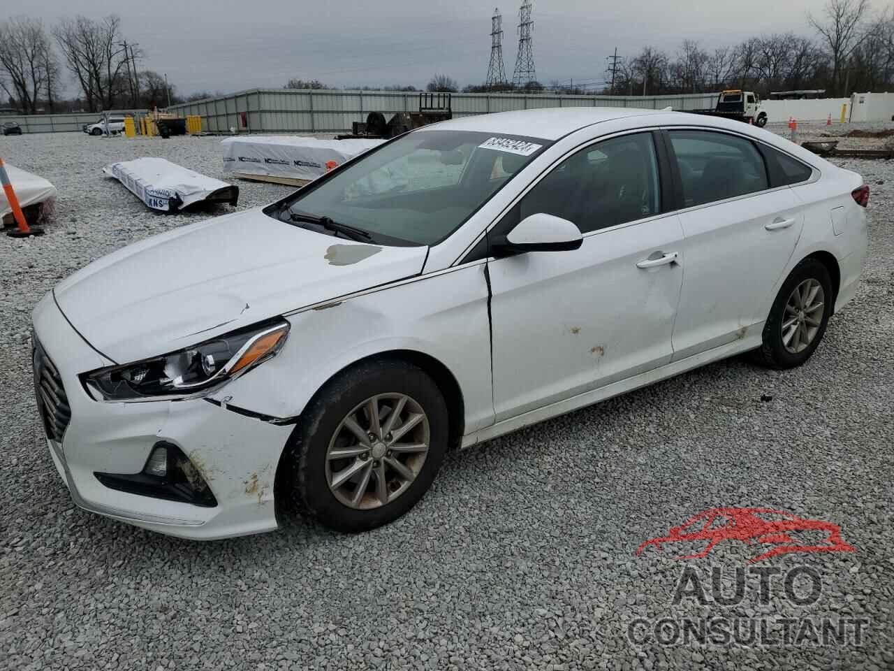 HYUNDAI SONATA 2019 - 5NPE24AF9KH771444