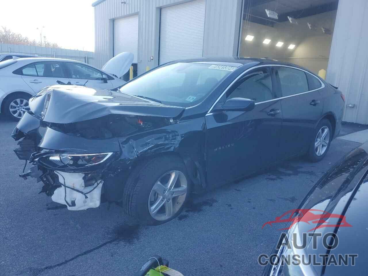 CHEVROLET MALIBU 2024 - 1G1ZD5ST0RF221584