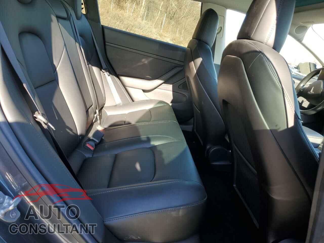 TESLA MODEL 3 2019 - 5YJ3E1EB2KF389453