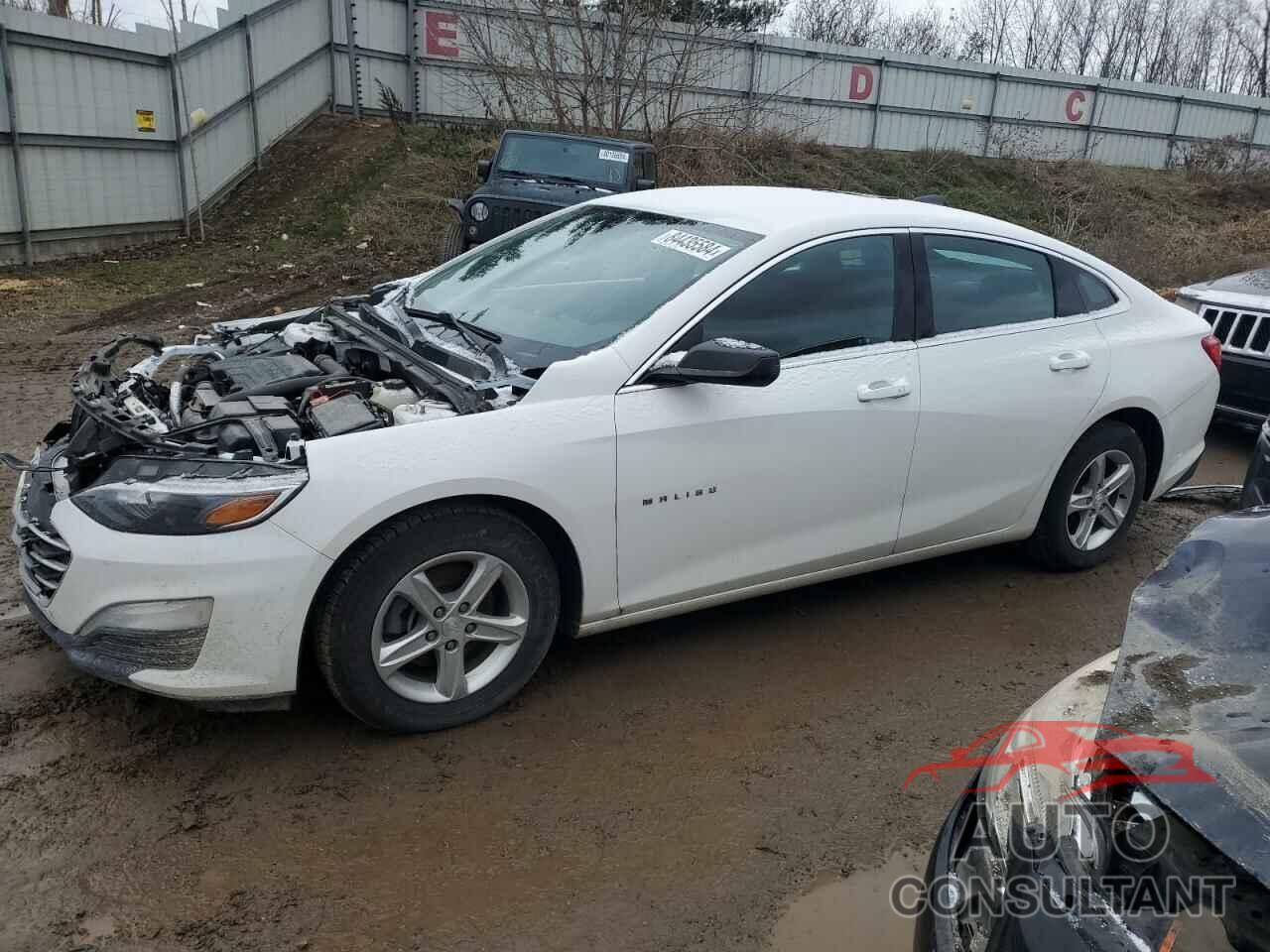 CHEVROLET MALIBU 2019 - 1G1ZB5ST8KF125939