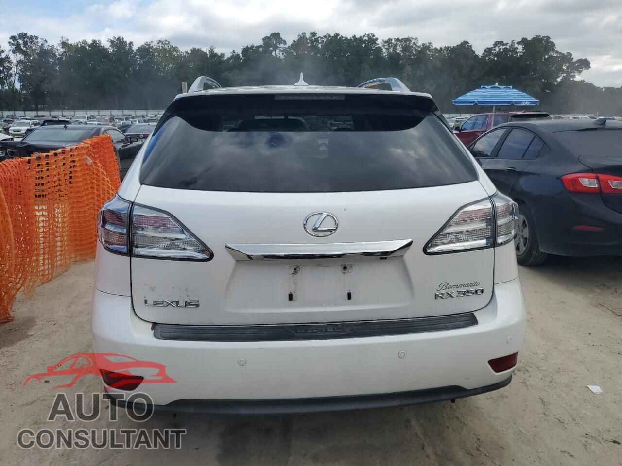 LEXUS RX350 2010 - 2T2BK1BA1AC063562