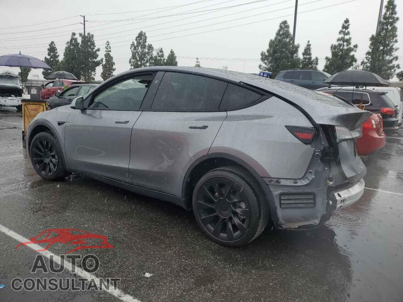 TESLA MODEL Y 2024 - 7SAYGDEE5RF195508