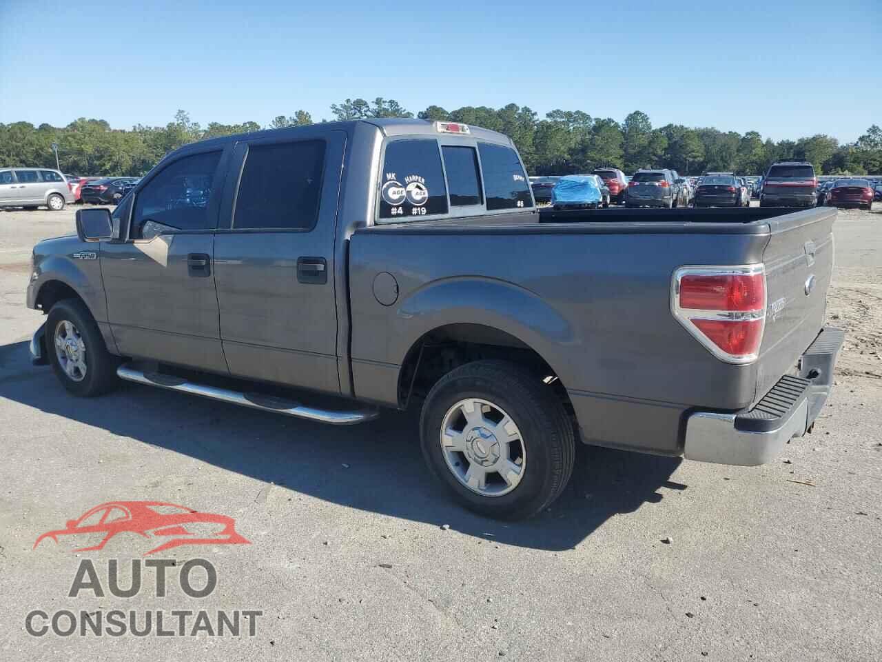FORD F-150 2010 - 1FTEW1C80AFC81436