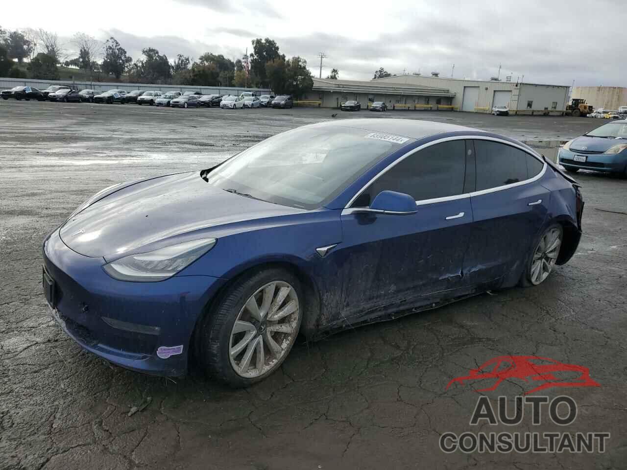 TESLA MODEL 3 2019 - 5YJ3E1EB4KF406642